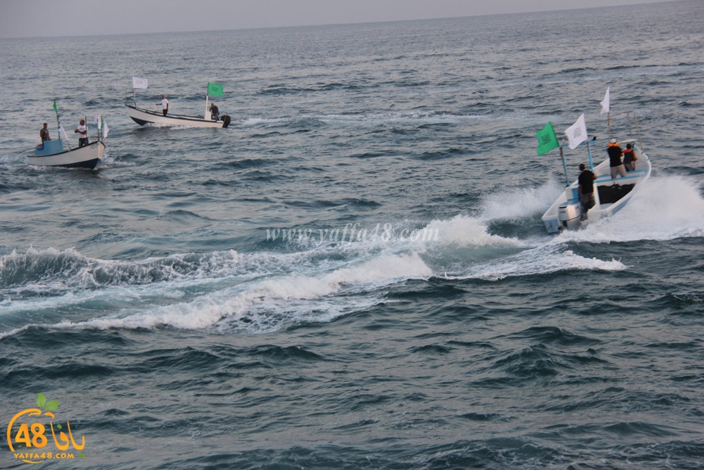 iste3rad sayaden yaffa (29).JPG